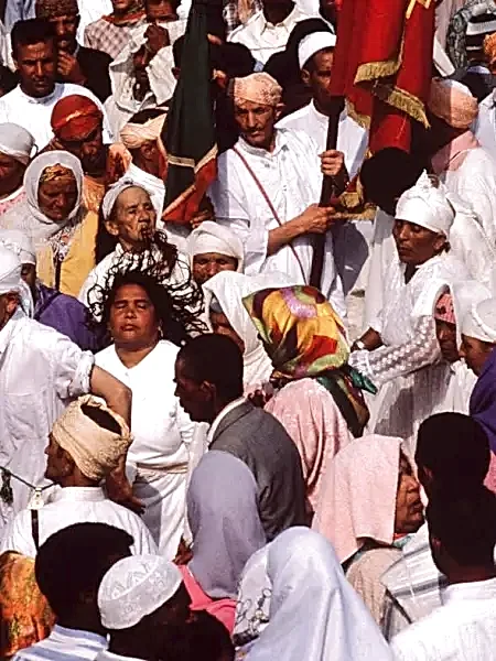 Gnawa : sept couleurs de Jean-Luc Manaud