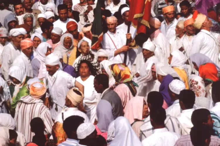 Gnawa : sept couleurs de Jean-Luc Manaud