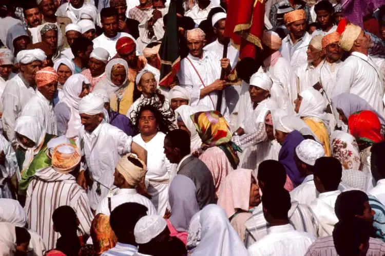 Gnawa : sept couleurs de Jean-Luc Manaud