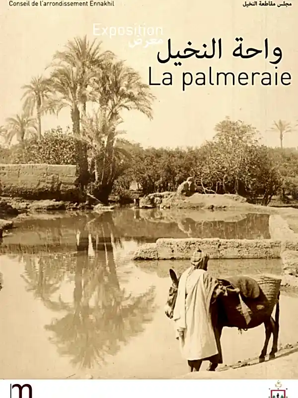 La palmeraie de Marrakech