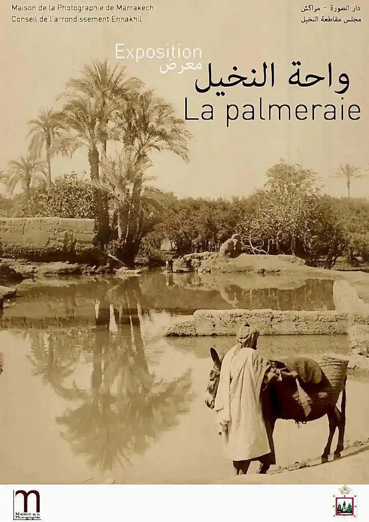 La palmeraie de Marrakech