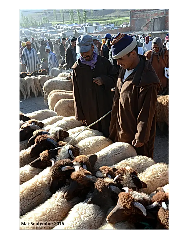 Vincent Delotte – Un regard sur les Berbères