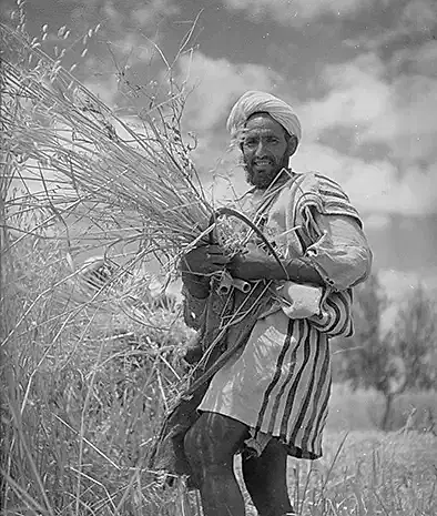 Denise Bellon Moissonneur, Meknès Circa 1930